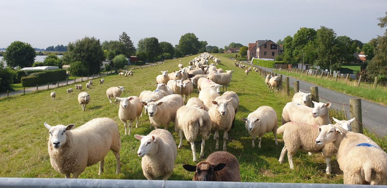 Weser-Koje Daire Elsfleth Dış mekan fotoğraf
